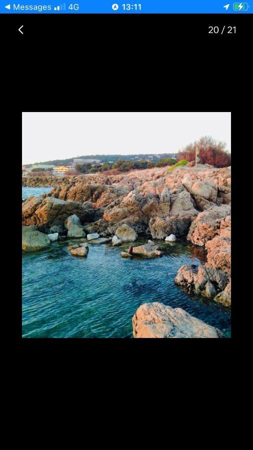 Grand Studio Bord De Mer Plus Piscine Sète Eksteriør billede