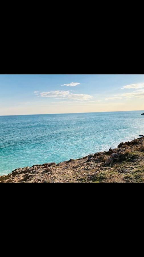 Grand Studio Bord De Mer Plus Piscine Sète Eksteriør billede