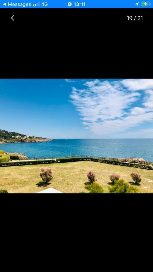 Grand Studio Bord De Mer Plus Piscine Sète Eksteriør billede
